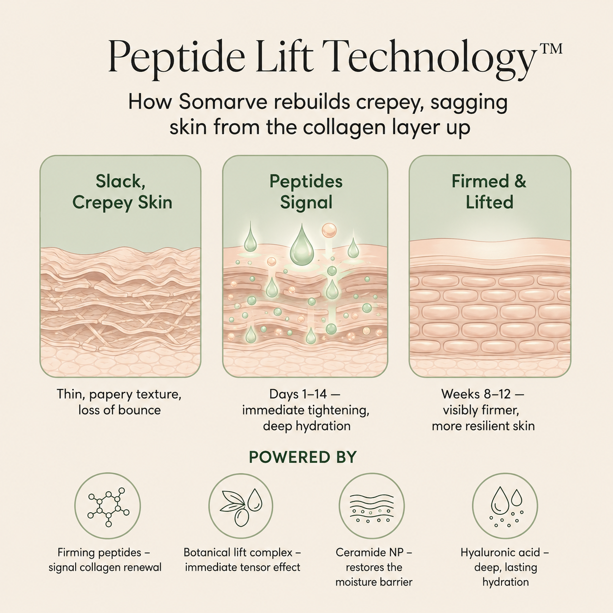 Deep Firming Peptide Body Cream